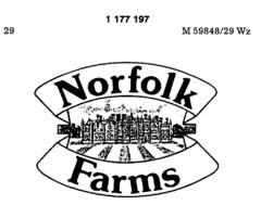 Norfolk Farms