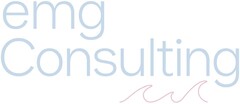 emg Consulting