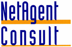 NetAgent Consult