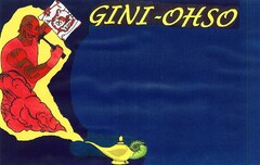 GINI-OHSO