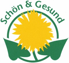 Schön & Gesund