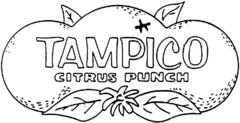 TAMPICO