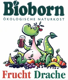 Bioborn ÖKOLOGISCHE NATURKOST Frucht Drache