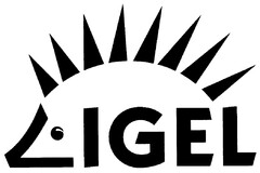 IGEL