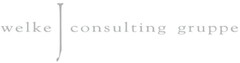 welke consulting gruppe