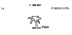 Palm