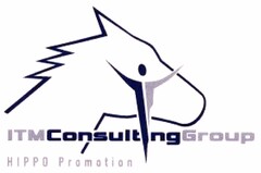 ITMConsultingGroup HIPPO Promotion