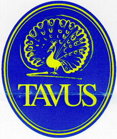 TAVUS