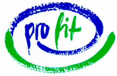 pro fit