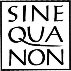 SINE QUA NON