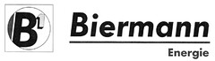 B1 Biermann Energie