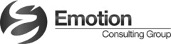 Emotion Consulting Group