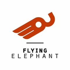 FLYING ELEPHANT