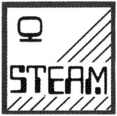 STEAM