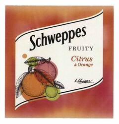 Schweppes FRUITY Citrus & Orange