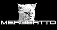 MEROGATTO