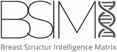 BSIM Breast Structur Intelligence Matrix