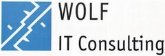 WOLF IT Consulting