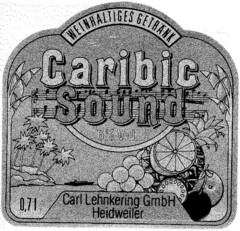 Caribic Sound Carl Lehnkering GmbH Heidweiler