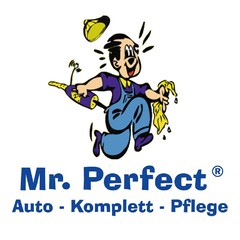 Mr. Perfect Auto - Komplett - Pflege