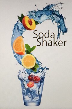 Soda Shaker
