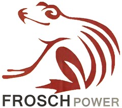 FROSCH POWER