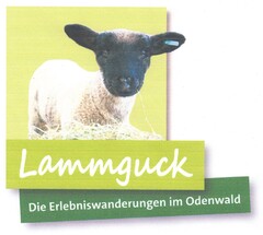 Lammguck Die Erlebniswanderungen im Odenwald
