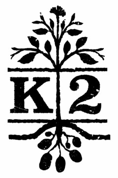 K2