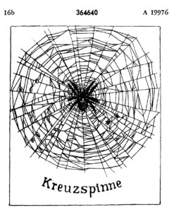 Kreuzspinne