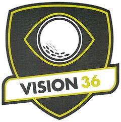 VISION 36