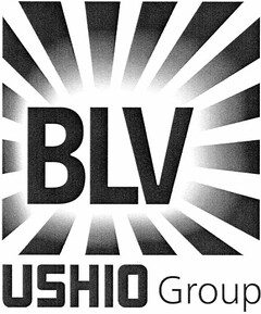 BLV USHIO Group