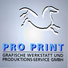 PRO PRINT