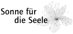 Sonne für die Seele