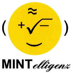 MINTelligenz