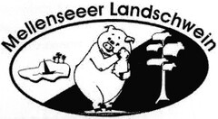 Mellenseeer Landschwein