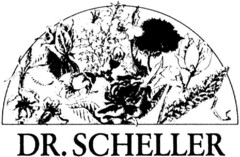 Dr. SCHELLER