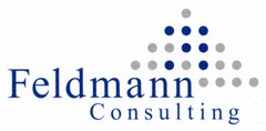 Feldmann Consulting