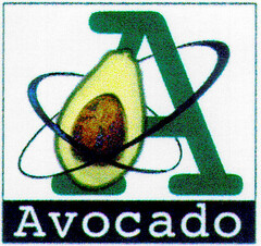 Avocado