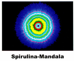 Spirulina-Mandala