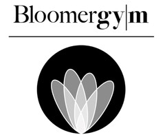 Bloomergy|m