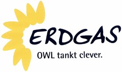ERDGAS OWL tankt clever.