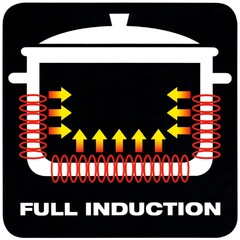 FULL INDUCTION