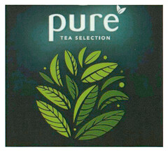 pure TEA SELECTION