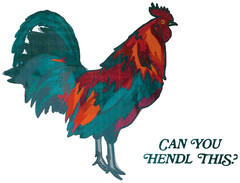 CAN YOU HENDL THIS?