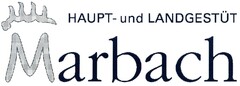 HAUPT- und LANDGESTÜT Marbach