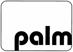 palm