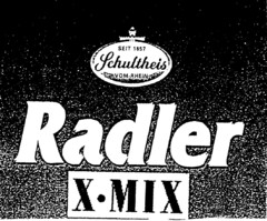 Radler X·MIX