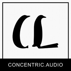 CONCENTRIC.AUDIO