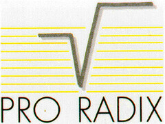 PRO RADIX