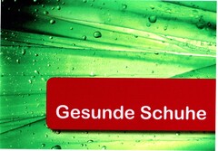 Gesunde Schuhe